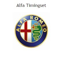 distributieriem of ketting timingset alfa