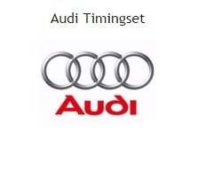 distributieriem of ketting timingset audi