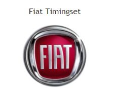 distributieriem of ketting timingset fiat