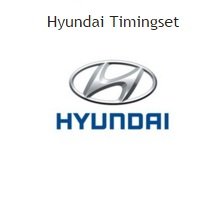 distributieriem of ketting timingset hyundai