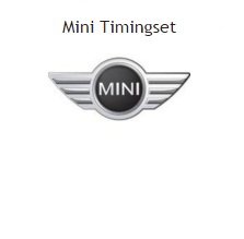 distributieriem of ketting timingset mini