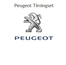 distributieriem of ketting timingset peugeot