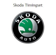 distributieriem of ketting timingset skoda