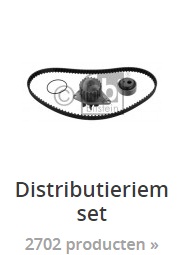 set distibutieriem